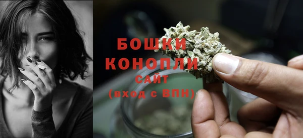 молекула духа Щёлкино