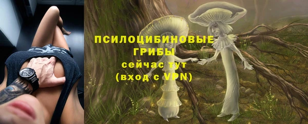 альфа пвп Медногорск