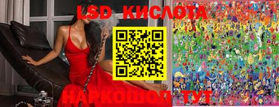 гашик Берёзовский