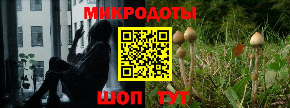 Галлюциногенные грибы GOLDEN TEACHER  Вход с VPN  Ижевск  Галлюциногенные грибы GOLDEN TEACHER 