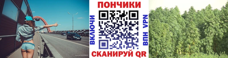 Каннабис Bruce Banner  продажа наркотиков  Ижевск 